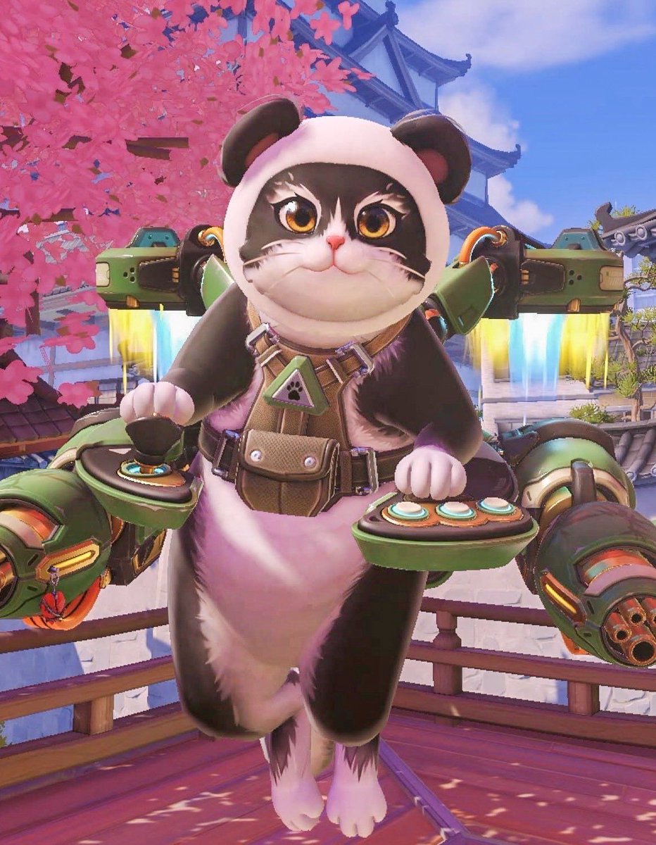 Sesuko🐸 tweet media