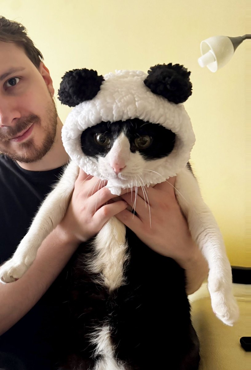 Sesuko🐸 tweet media