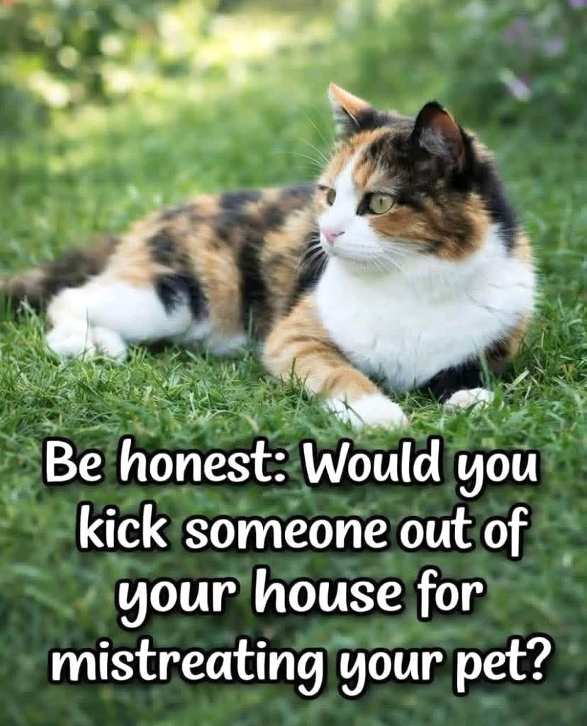 Eman5695's tweet photo. Be honest: Would you kick someone out of your house for mistreating your pet?👇🏻 https://t.co/s5HHQyNNOs