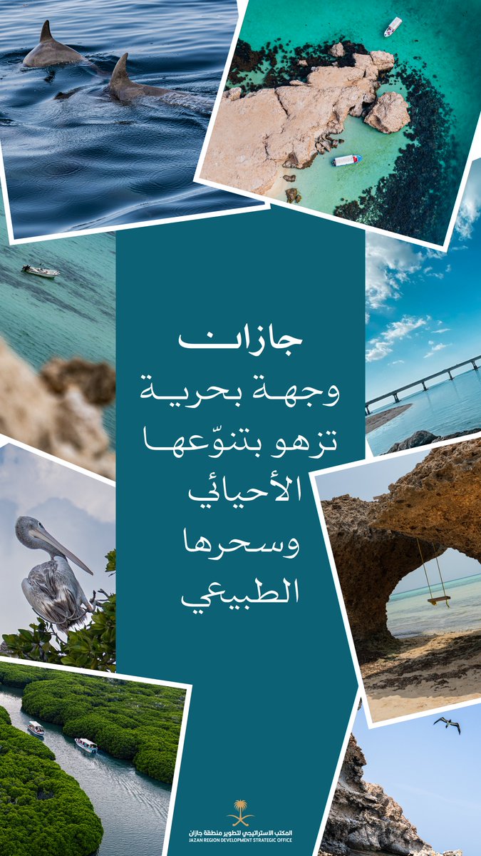 JazanSDO's tweet photo. جازان وجهة بحرية تزهو بتنوّعها الأحيائي وسحرها الطبيعي.

#المكتب_الاستراتيجي_لتطوير_جازان https://t.co/LLJJIAlOBs