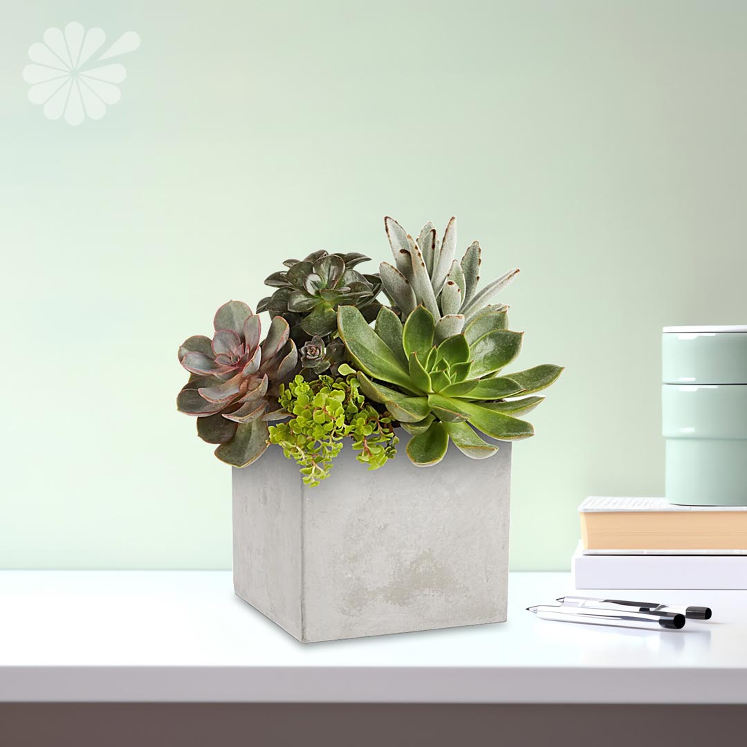 GeorgeThomasFlorist tweet media