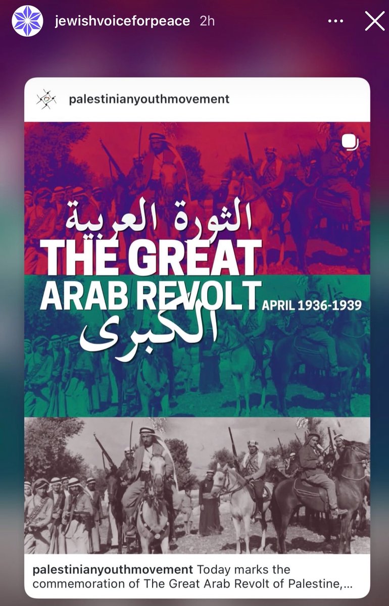 Amelia Adams tweet media