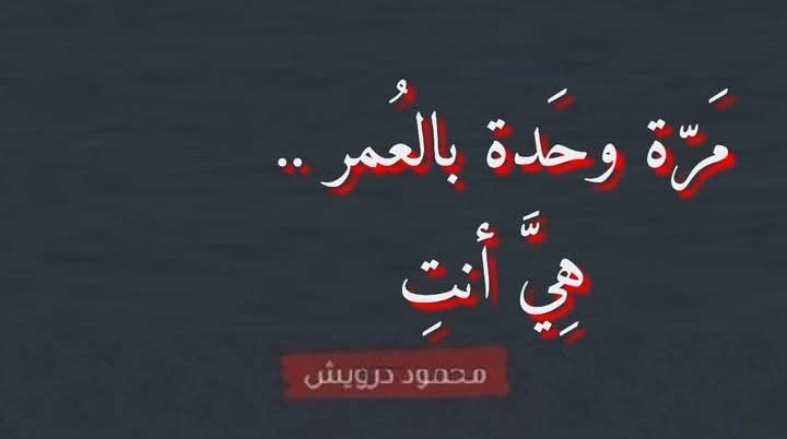 قمر عبدالله tweet media