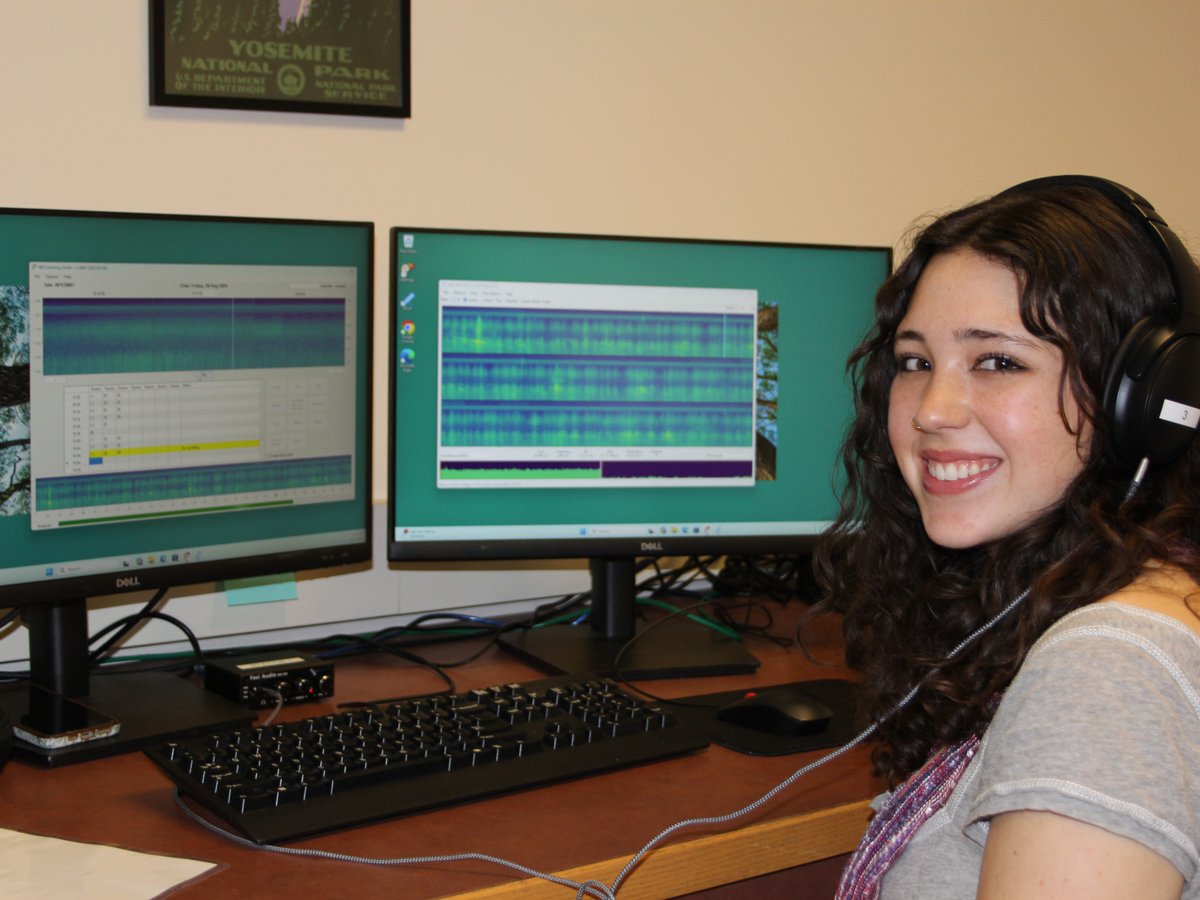 UVM_RSENR's tweet photo. Coyotes howling. The steady buzz of cicadas. A downpour. A rocket launch. Each conjures a different image and emotion, and all are heard in @uvmvermont 's newest, collaborative laboratory: The Listening Lab. 

Learn more about it here: https://t.co/xc122R7ikV https://t.co/9A5bkkRtKF