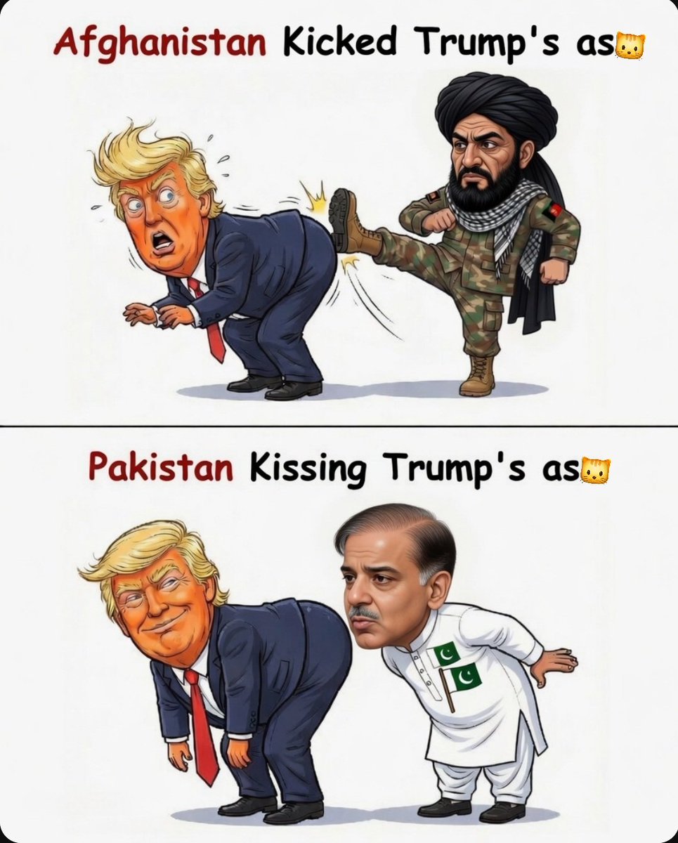 Fazal Afghan tweet media