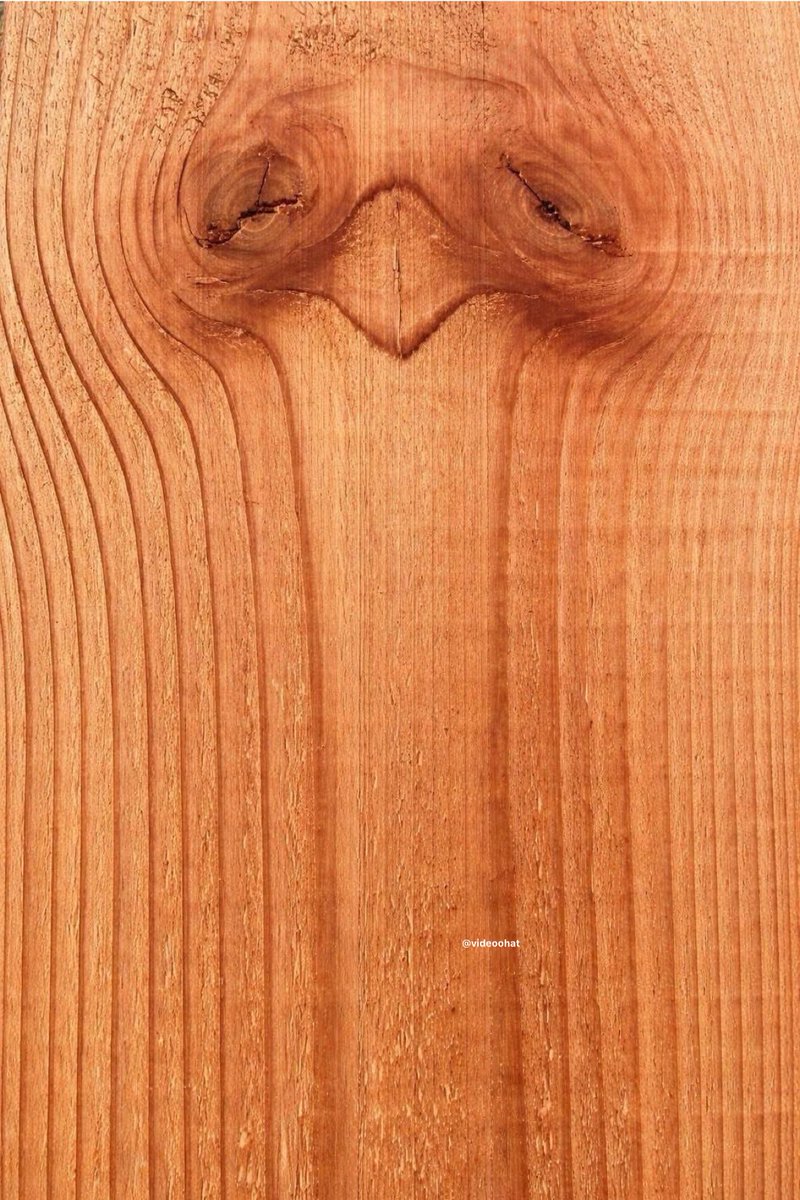 رَهَفْ tweet media