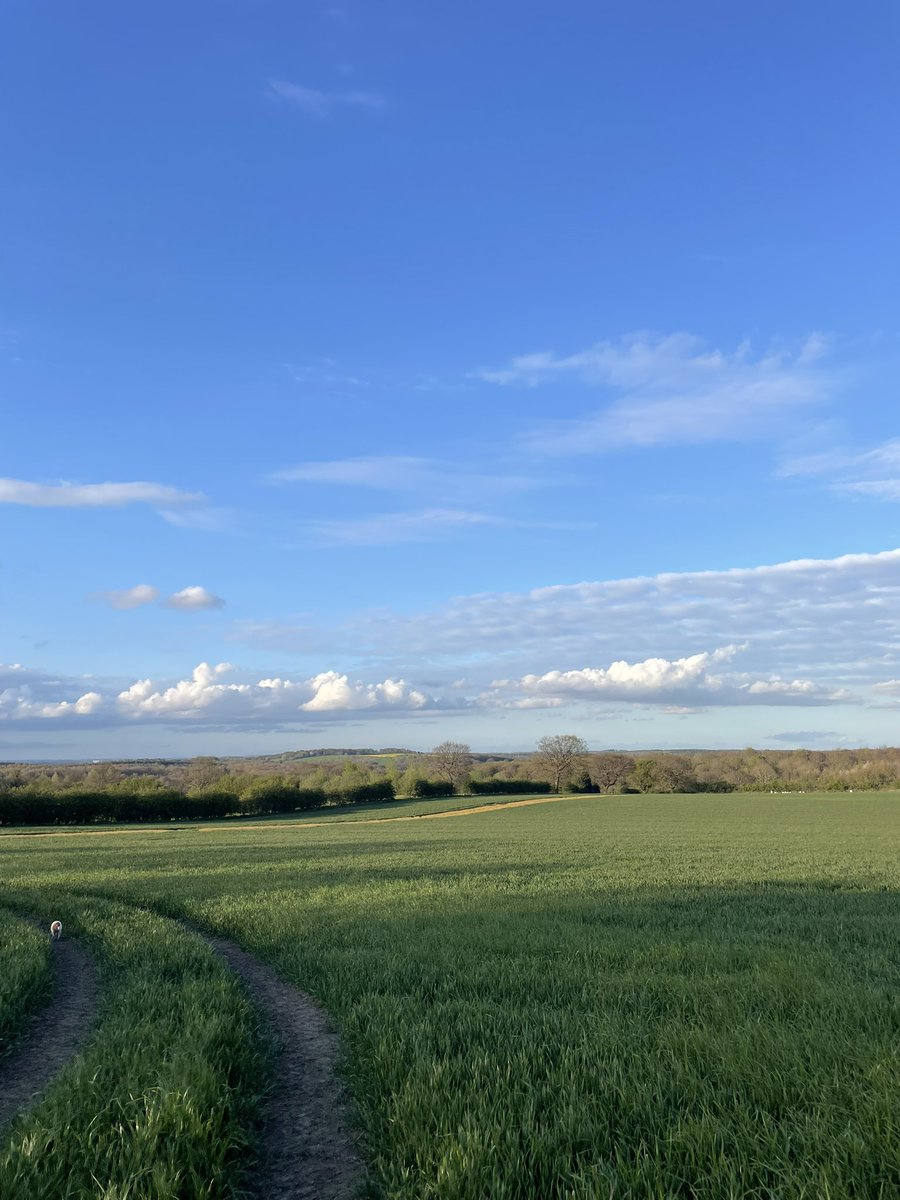 TheFarmingForum tweet media