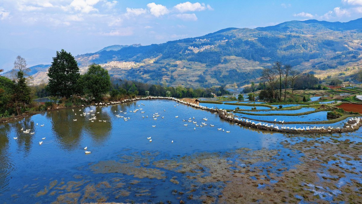 игорь нечепоренко tweet media