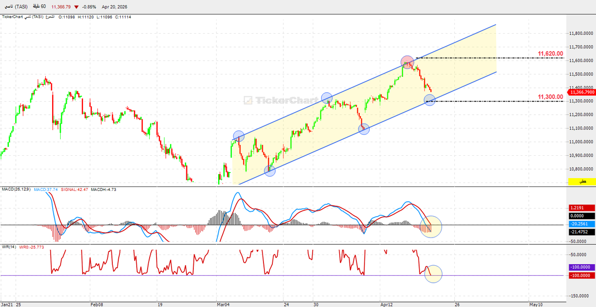 Dr- Fares Alotaibi tweet media