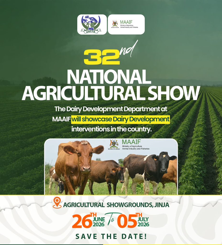 FD TV Media tweet media