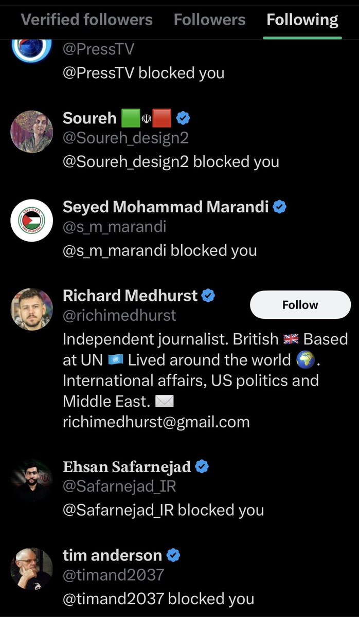 Savakzadeh tweet media