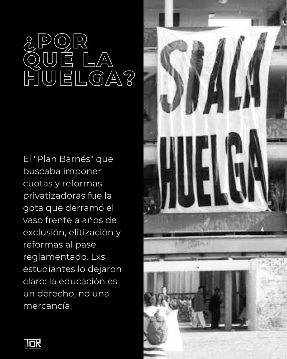 Tejiendo Organización Revolucionaria tweet media