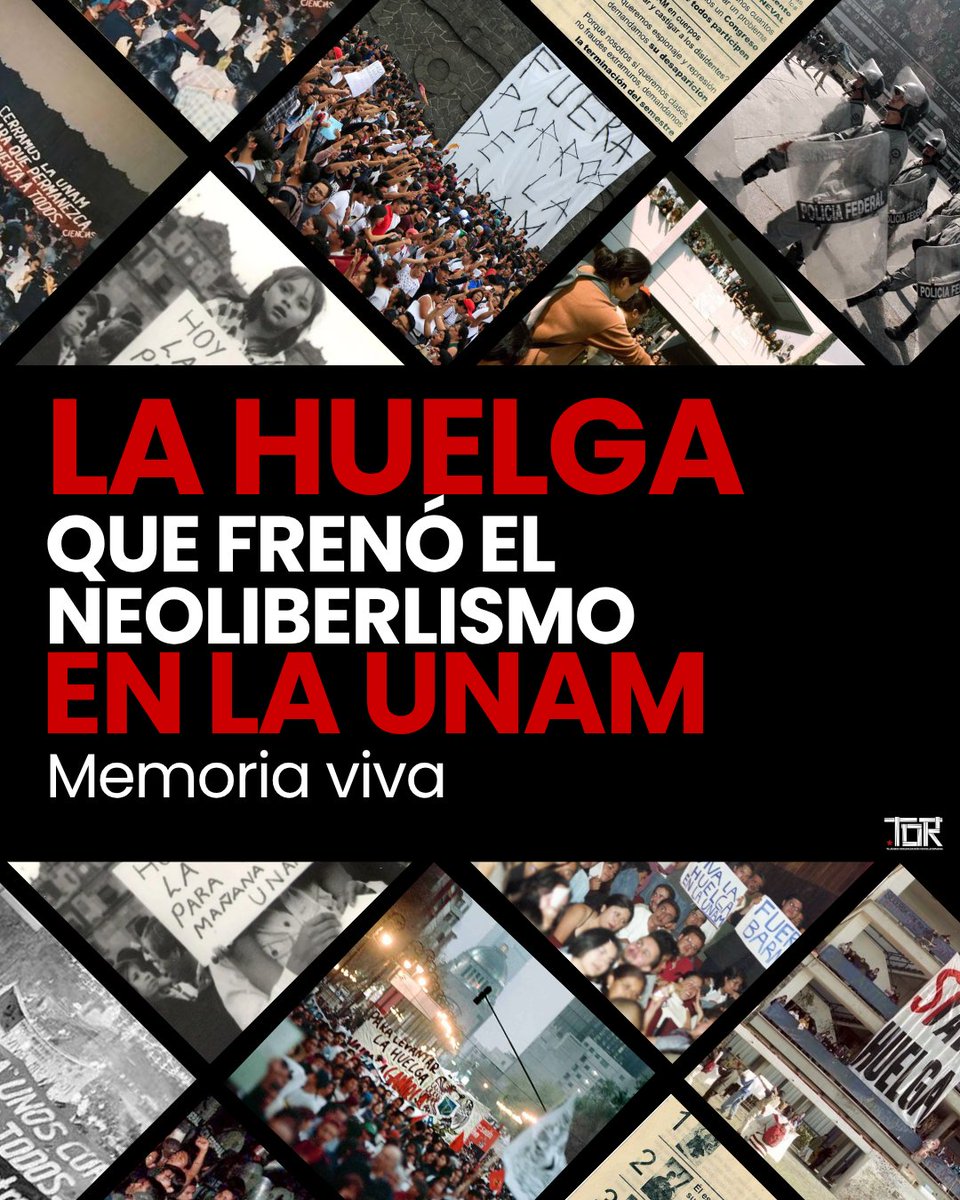 Tejiendo Organización Revolucionaria tweet media