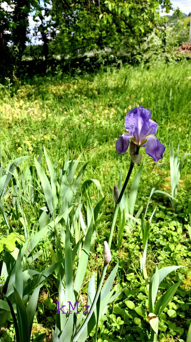 🌼🐿️ℳ𝒾𝒸𝒽ℯ𝓁𝓁ℯ 𝒩𝒶𝓉𝓊𝓇ℯ & 𝒯𝒽ℴ𝓊ℊ𝒽𝓉𝓈 ✒️ tweet media