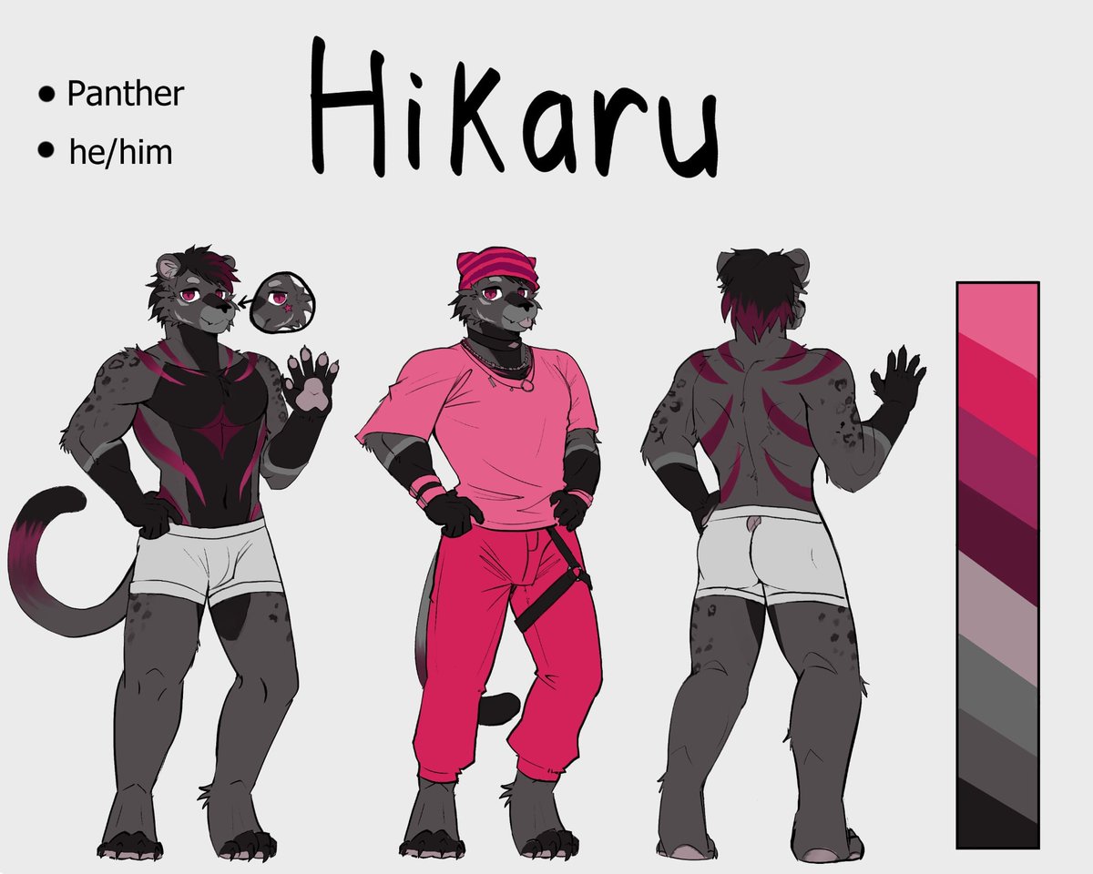 Hikaru tweet media
