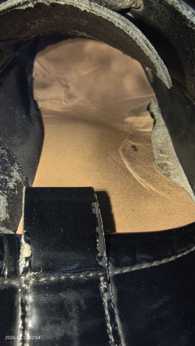 xxl tweet media