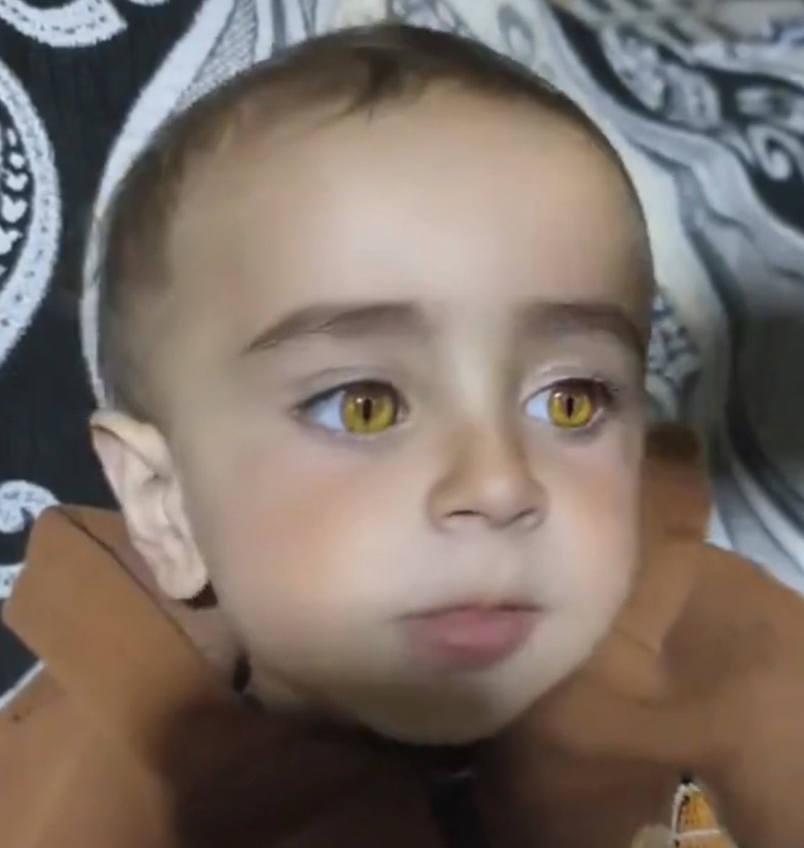 silopii73 tweet media