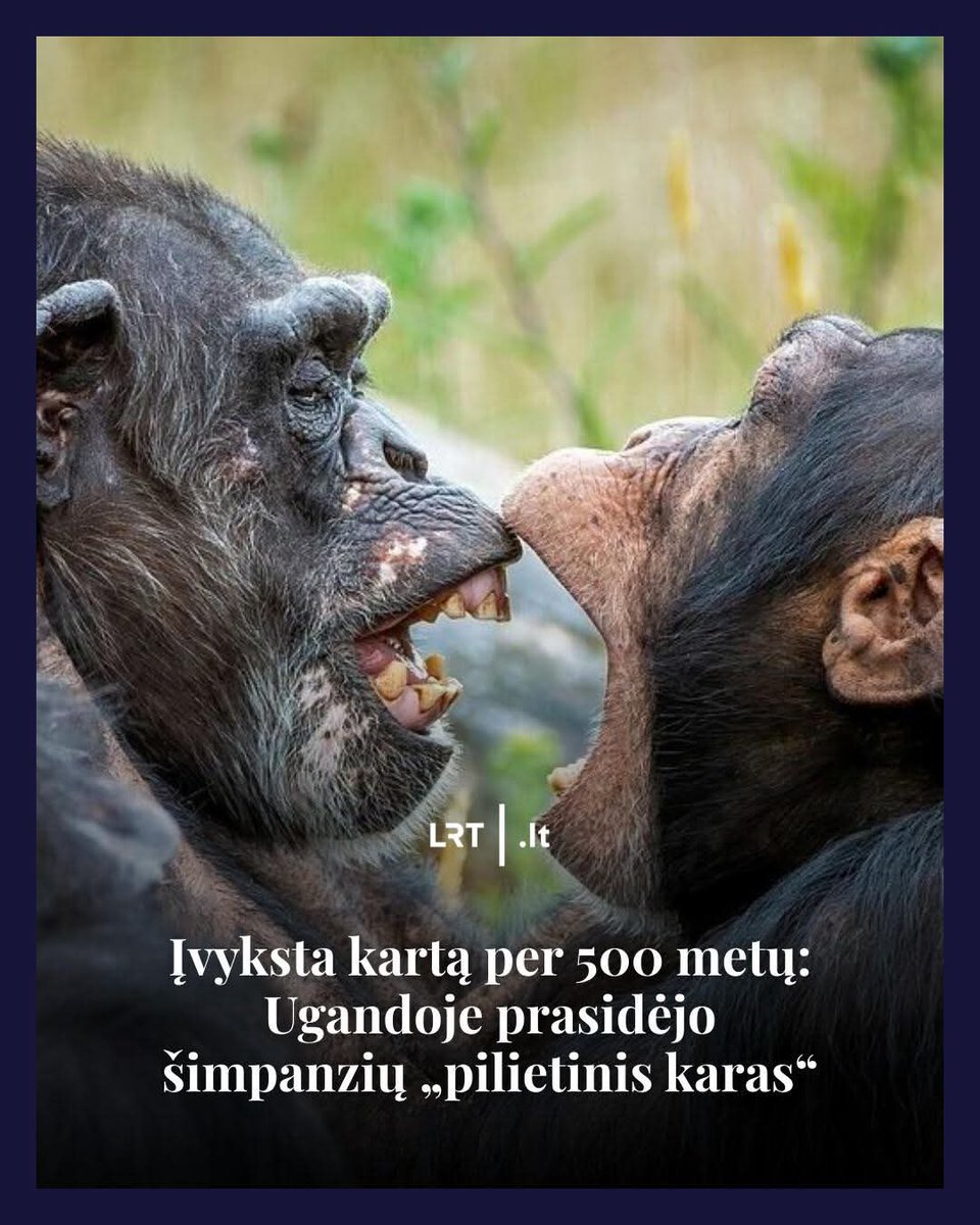 🇱🇹🇻🇦Dan tweet media