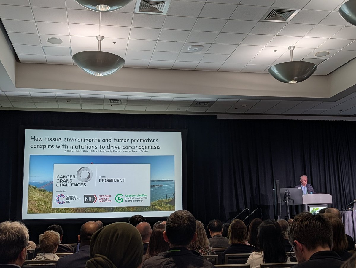 DrMirallas's tweet image. #AACR26

💥From cellular events to systematic disease 
🪑 @CharlesSwanton 

🗣️Dr. Balmain @UCSF
📌 Carcinogenic exposure --&amp;gt; promoter (inflammation) --&amp;gt; cancer
 🤯 Most known human carcinogenic are not mutagens
♻️ Mutations and promoters to #clonal selection
@OncoAlert