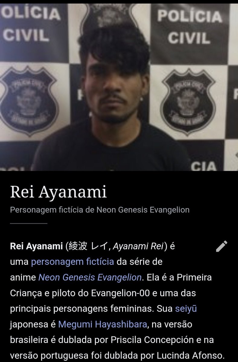meu app da wikipedia bugou e deu nisso