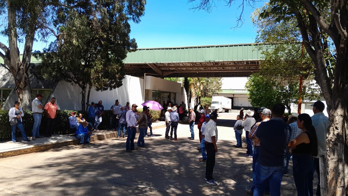 durangos21's tweet image. Toman Productores de Frijol Alimentación para el Bienestar
#Durango

Información completa en el link
