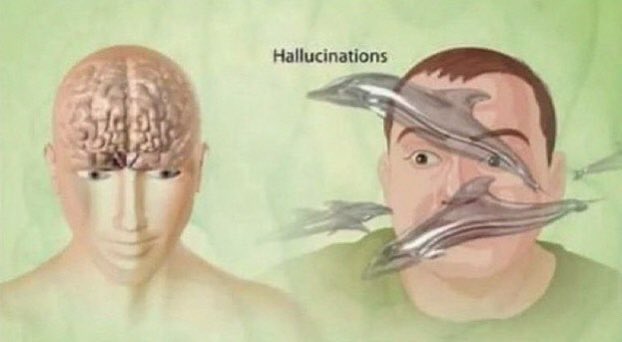 may ꉂ- .-ˆᐝ tweet media