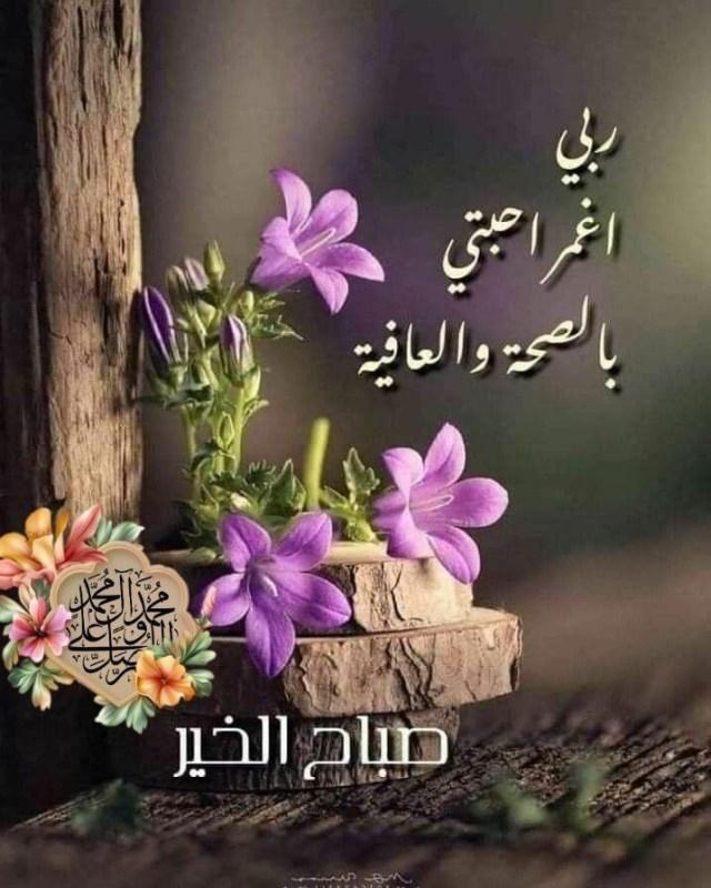 عاشق الكرار (@hussain_buhamad) on Twitter photo 