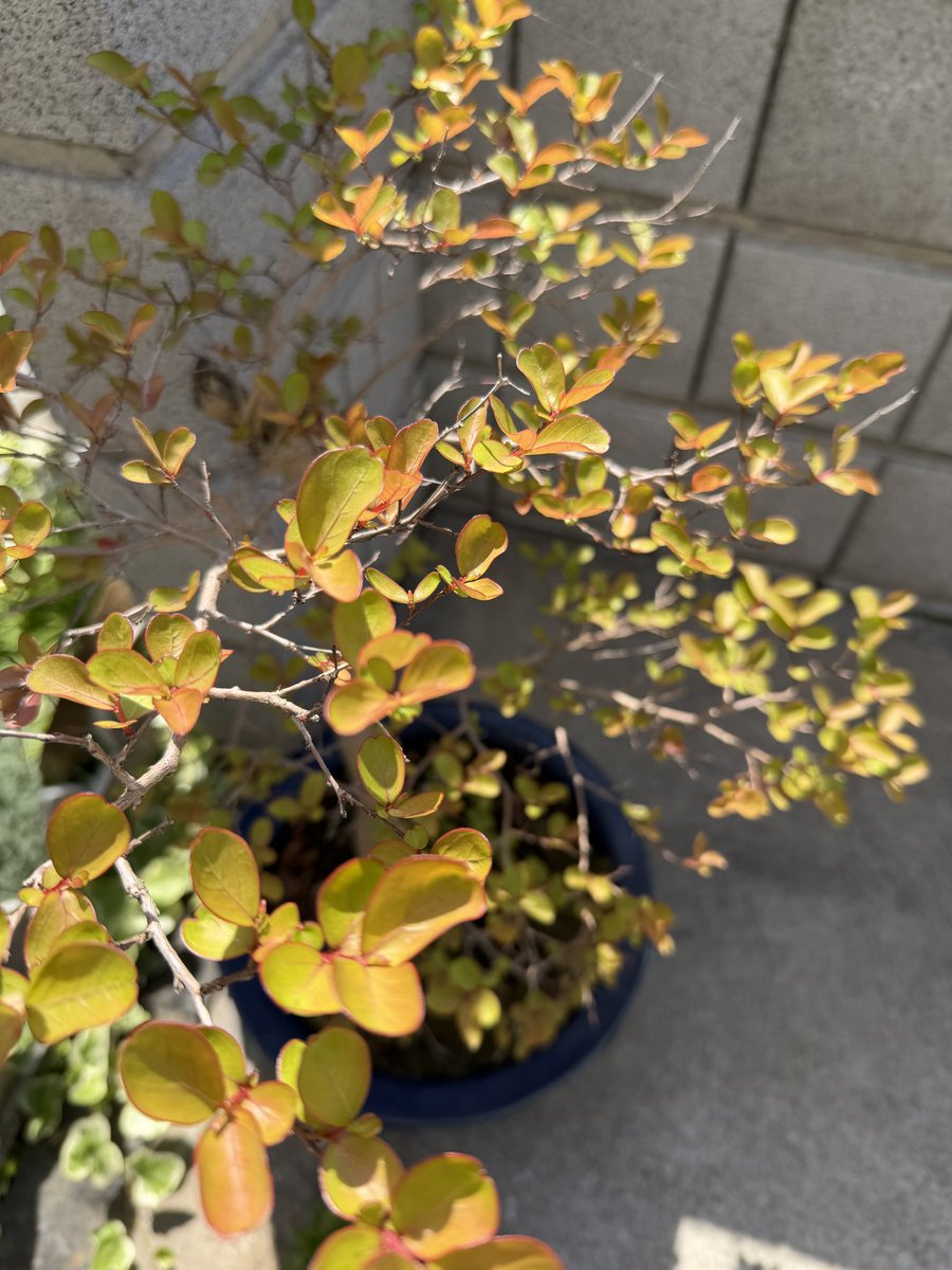 伊田淳｜映像×AIプロデューサー tweet media