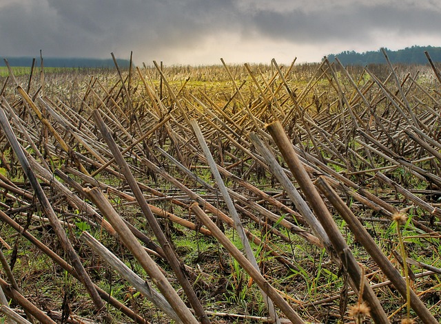 Imogen Brooks tweet media