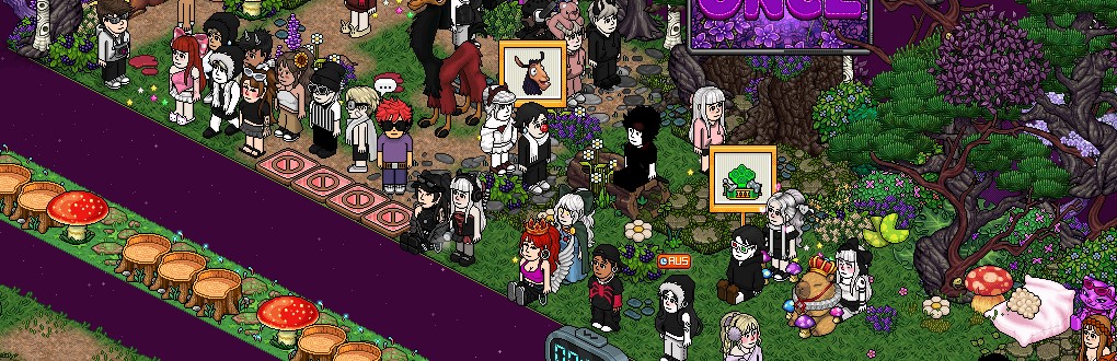 Habbonce tweet media