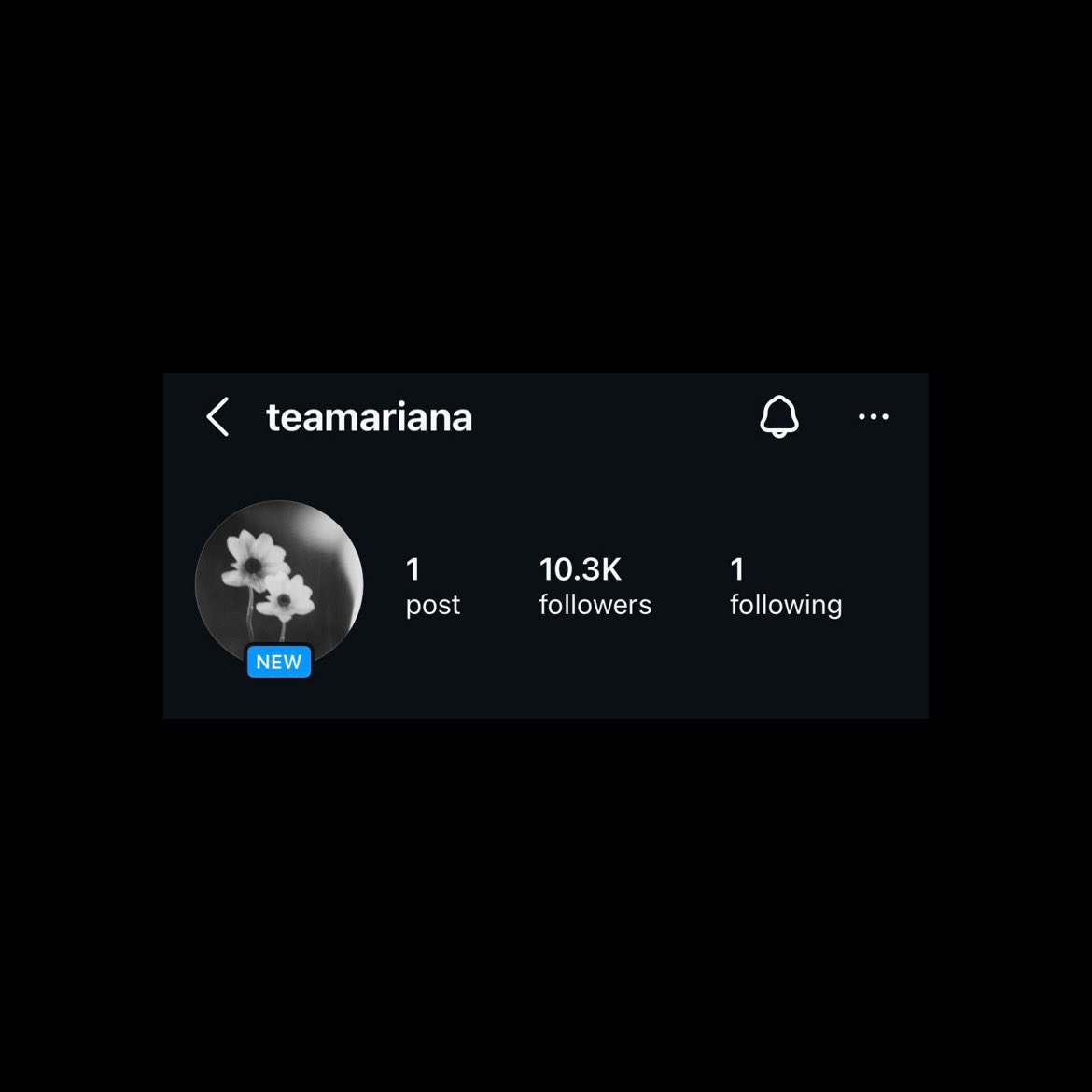 Ariana Grande Today ꕤ tweet media