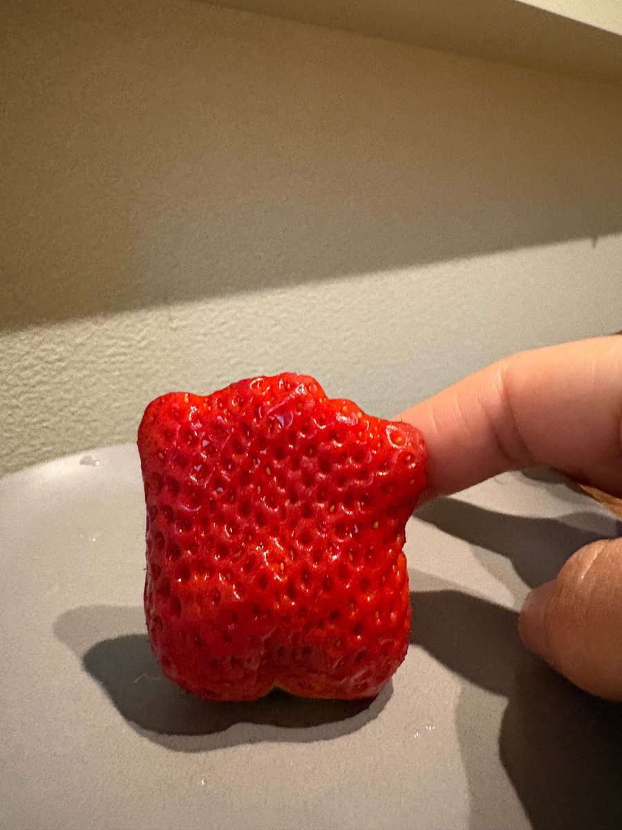 ムビサポQ┊︎映像制作 tweet media