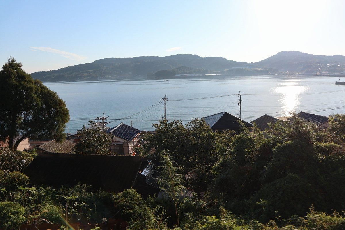 Бедный взрослый ребенок tweet media