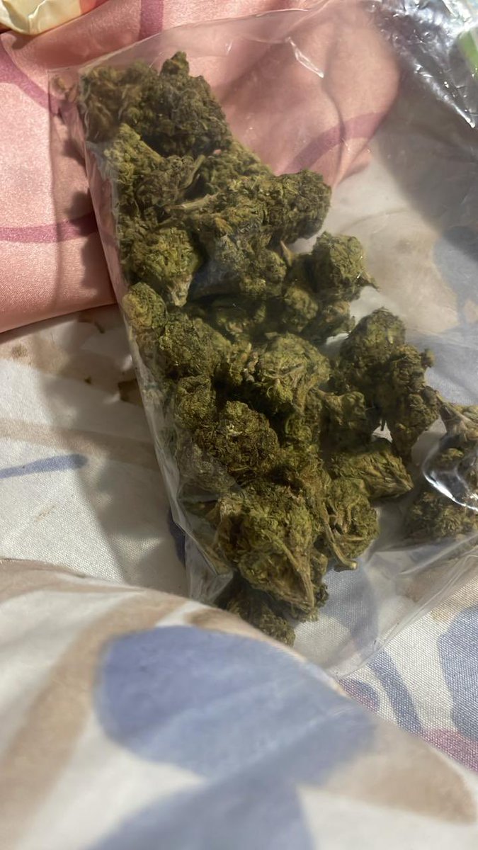 bryan 🪁 tweet media