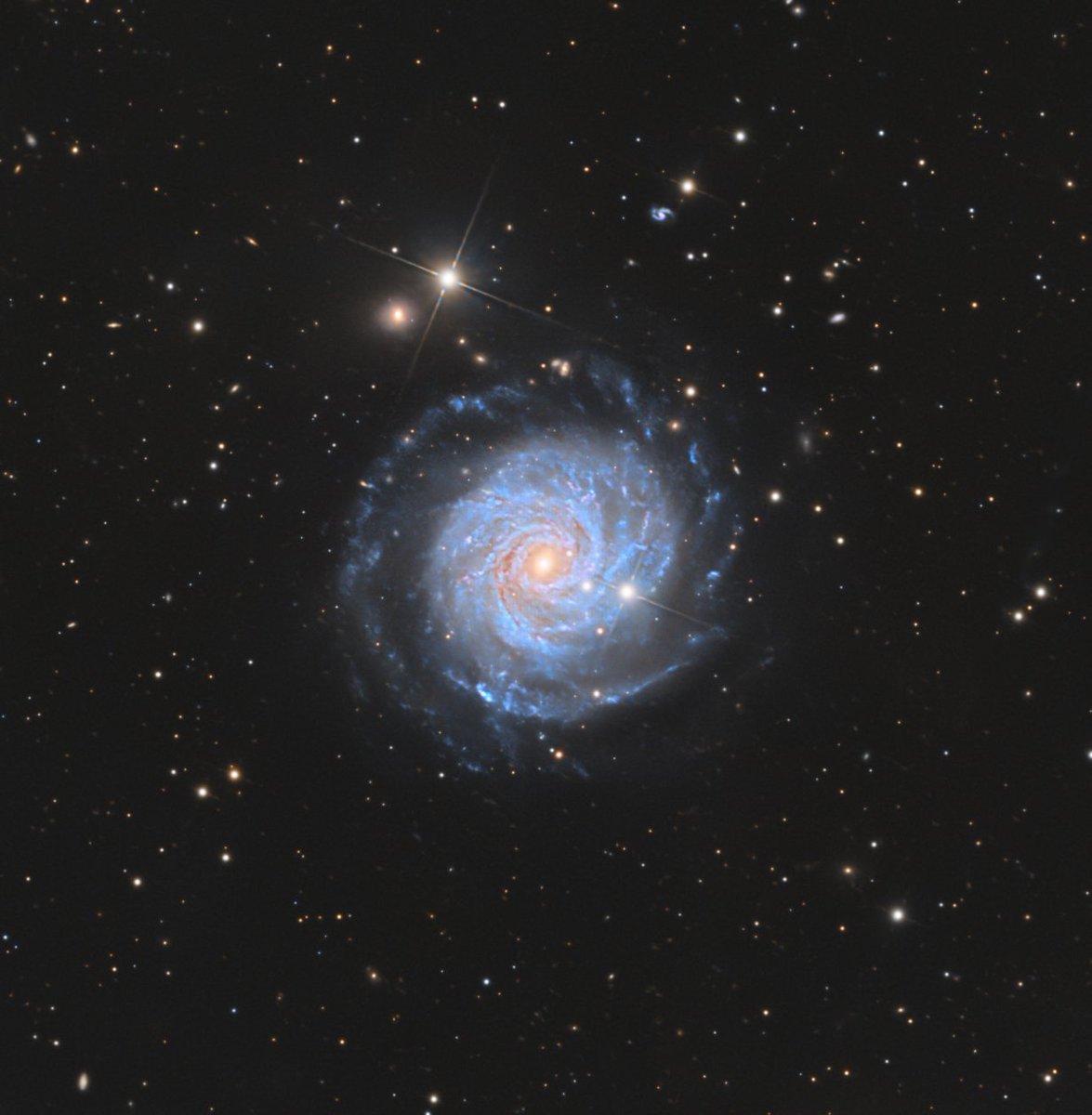 Chuck's Astrophotography tweet media