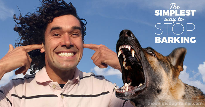 AussieShepLover's tweet image. #ad #australianshepherd #aussie #dogtraining #puppytraining #aussielovers

The Simplest Way To Stop ANY Barking Without Hurting Your Dog or Puppy 🐾💖🎓
…97s7zfv04xfqti3ooay.hop.clickbank.net/?cbpage=stop-a…