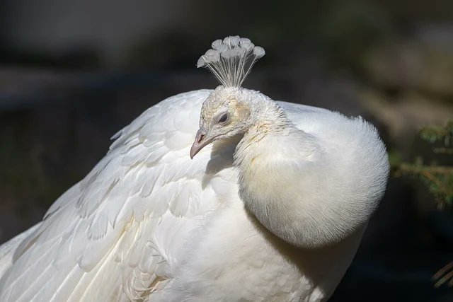 Rosamund Lynch tweet media