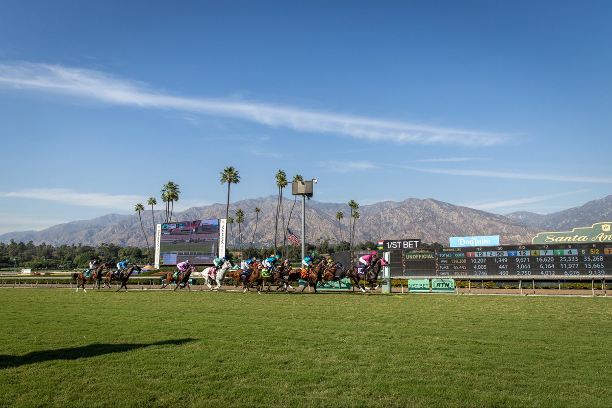 horseracingwmn's tweet photo. Reflecting on a beautiful opening weekend at Santa Anita for the Hollywood meet. π₯
Good luck to all of the connections during the meet!
#HRWA
πΈ @_zoemetz https://t.co/fGyqetg8LK