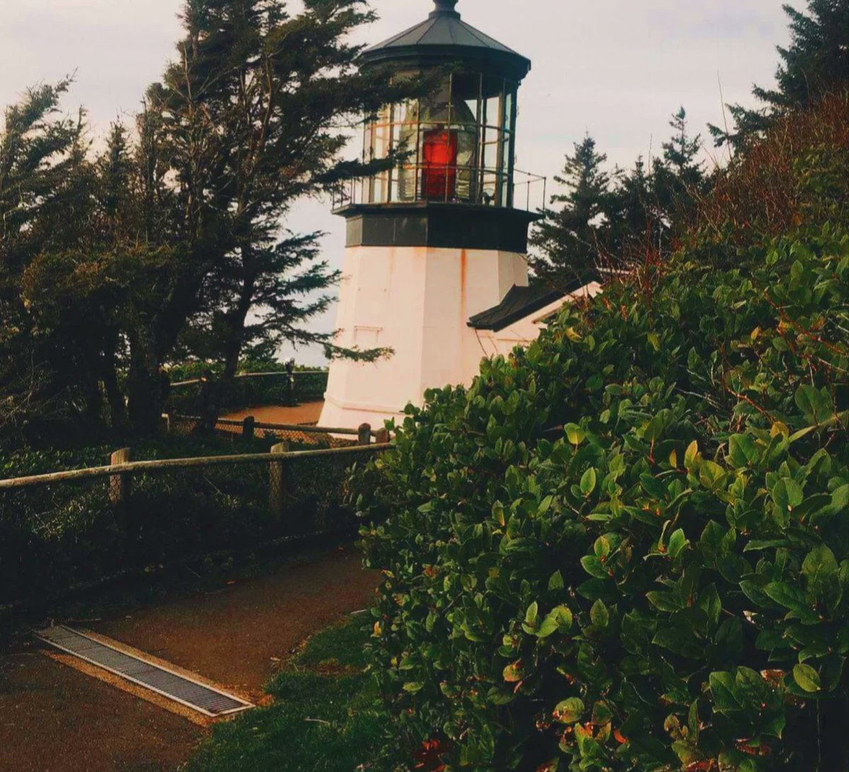 Maximus@LiS2 (again) tweet media