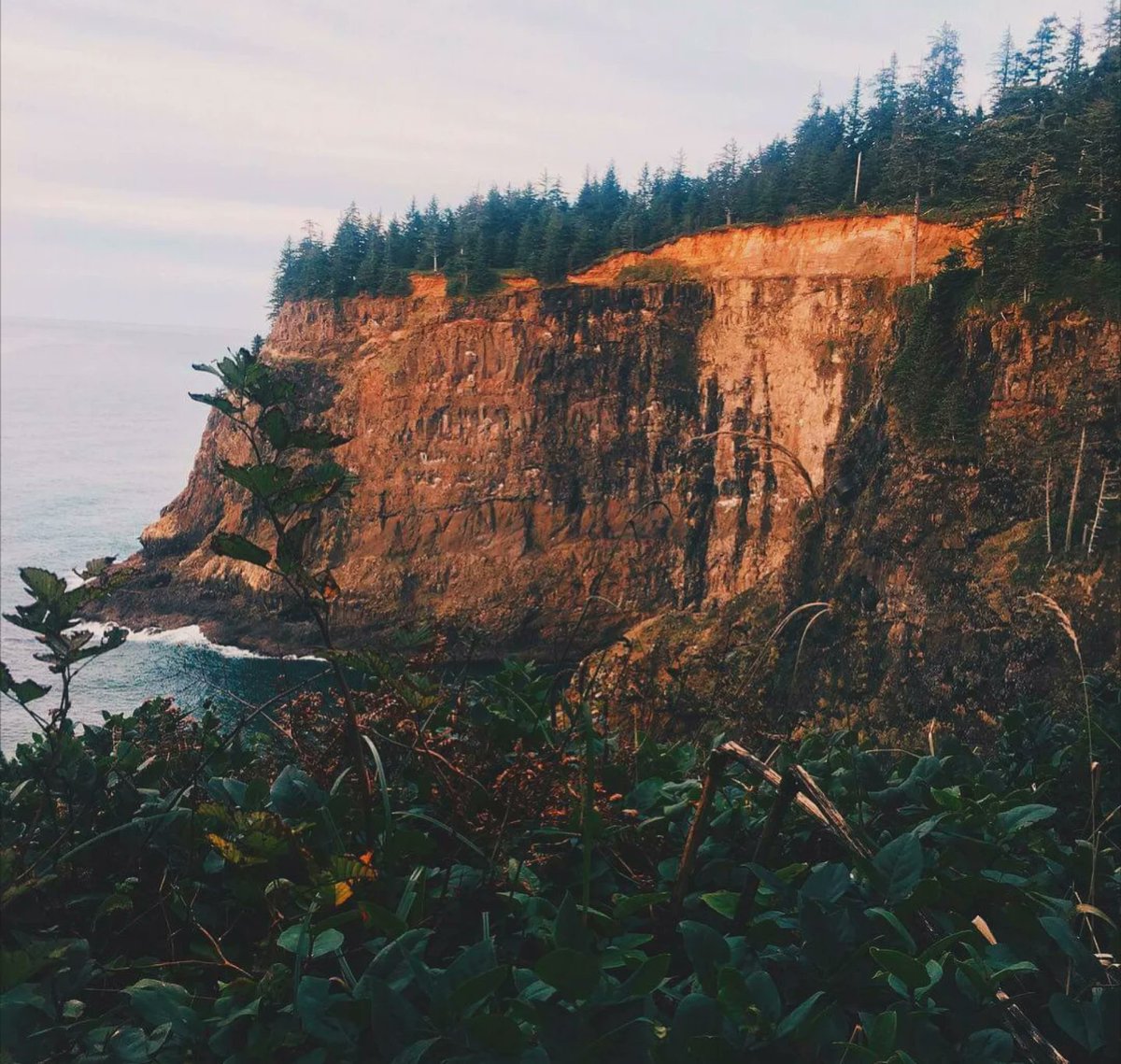 Maximus@LiS2 (again) tweet media