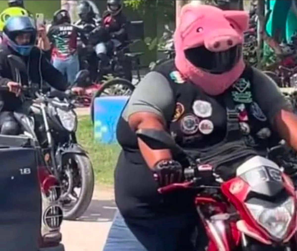 (inauguración del gusano) tweet media