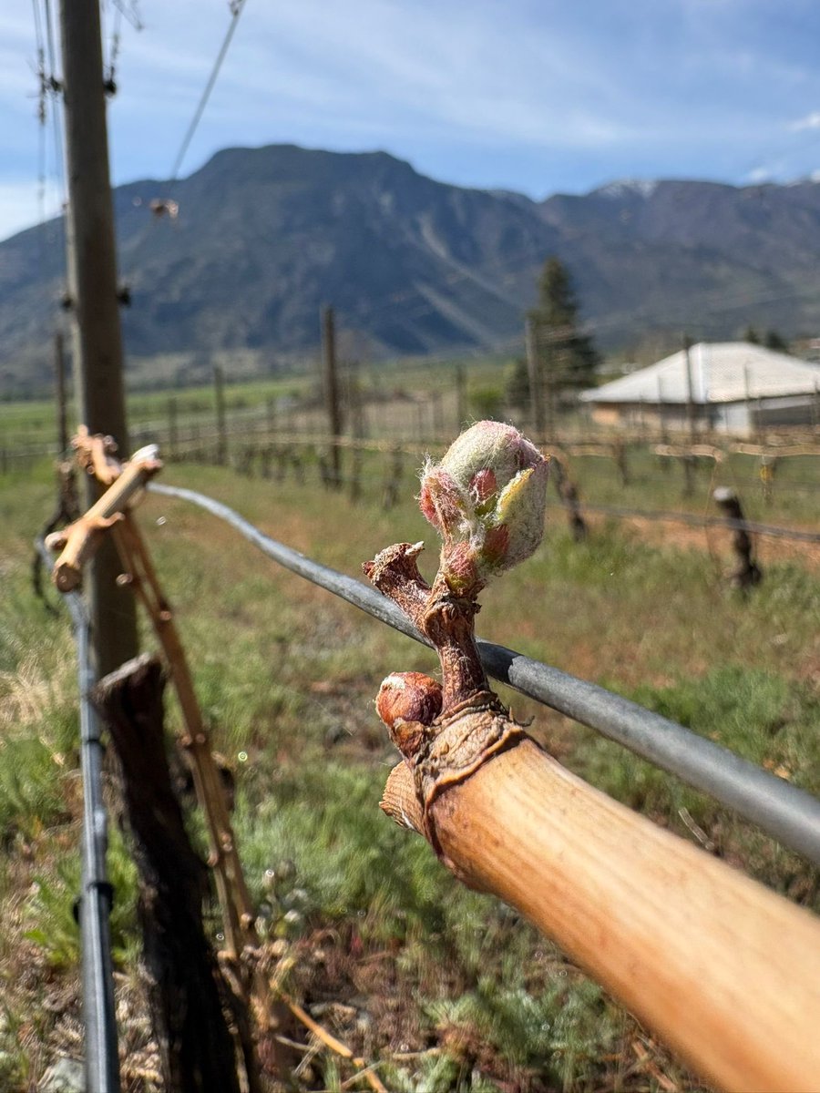 Clos du Soleil tweet media