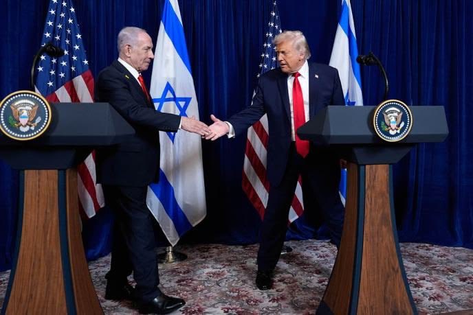 sarah david tweet media