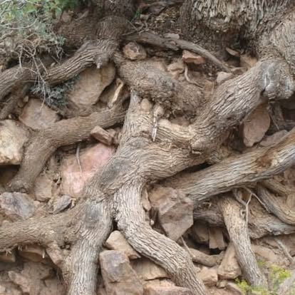 Jay David Murphy tweet media