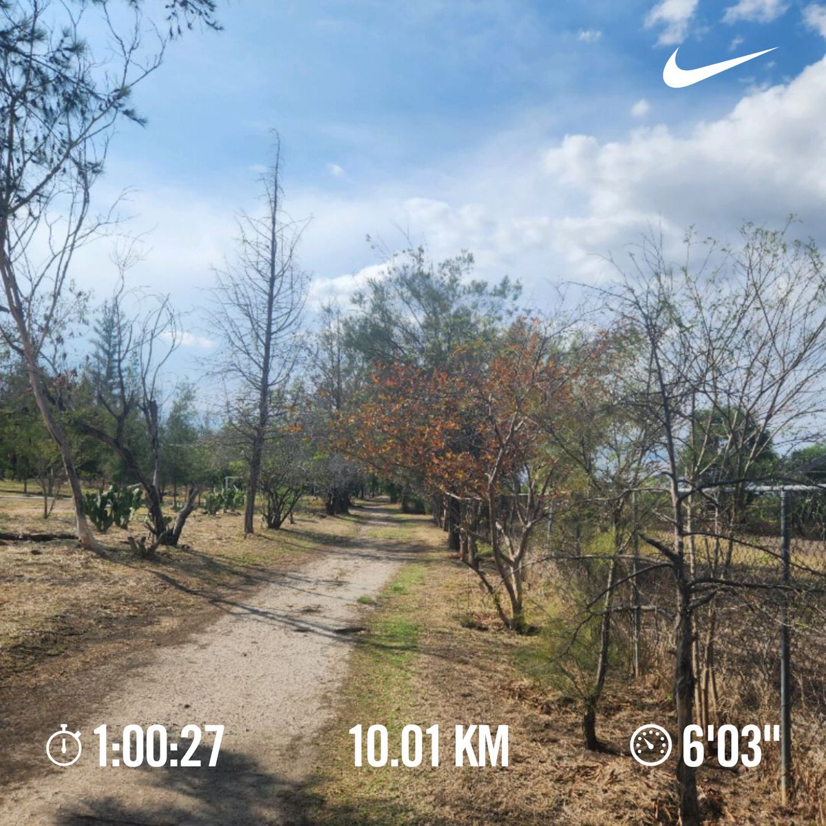 Martin Herrz tweet media