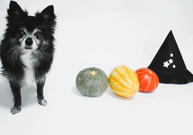 Lenora Penelope tweet media