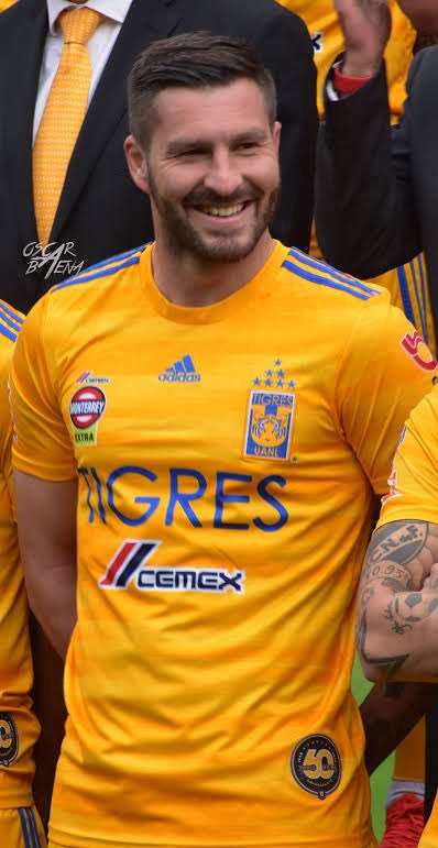 Chistes Tigres 🐯 tweet media