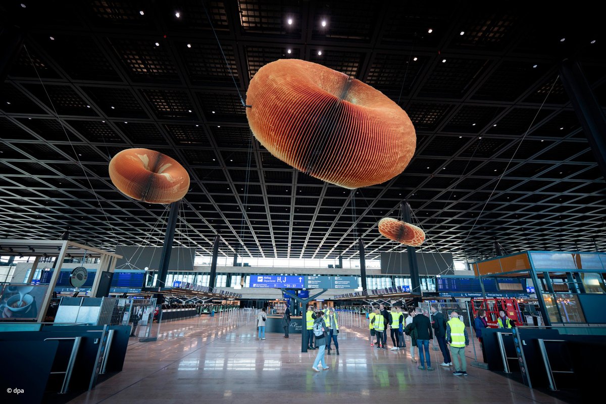 GermanyinWestjp's tweet image. 年間6000万人以上が利用する、ドイツのハブ空港 #フランクフルト空港 に第3ターミナルが本日オープンします

これまで第1ターミナルを利用していたJALなどは順次第3ターミナルに変わるようです。

⚠️フランクフルト空港を利用される方は、ご注意ください
詳細✈️
t1p.de/z65gs