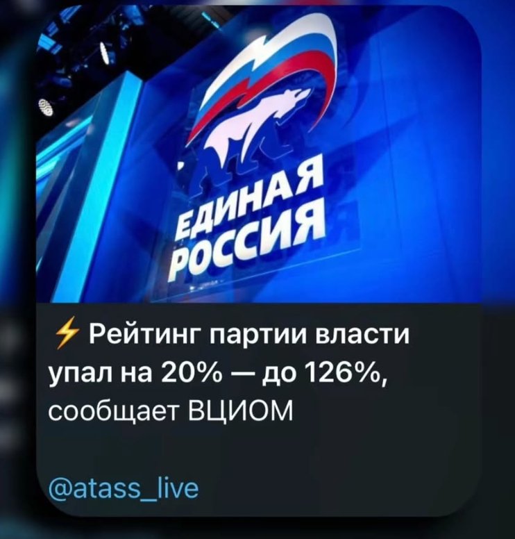 fish🇺🇸 tweet media