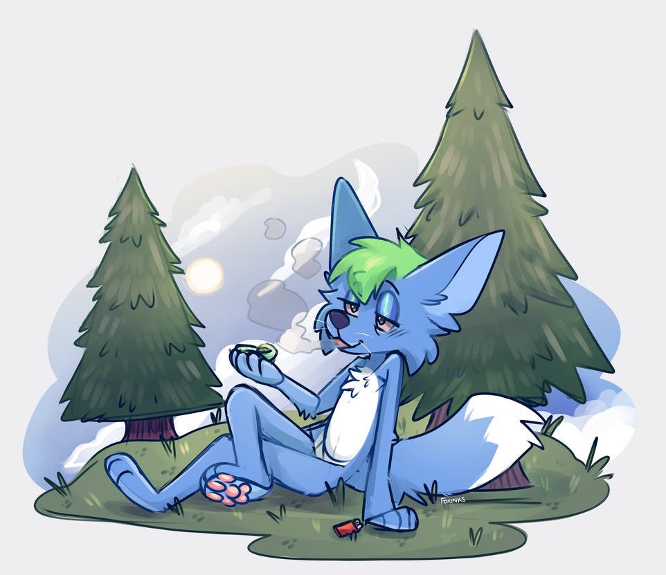 cable ties 🔜 FWA tweet media